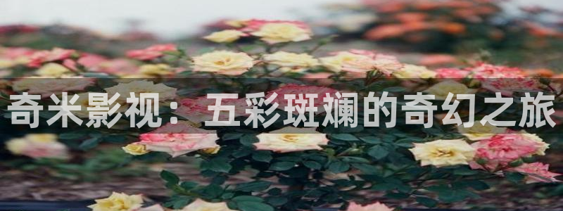 全能影视网页版：奇米影视：五彩斑斓的奇幻之旅
