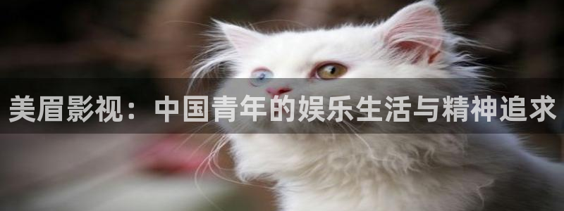 全能影视大全免费观看电视剧