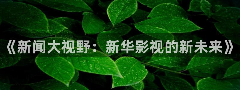 全能影视app官网