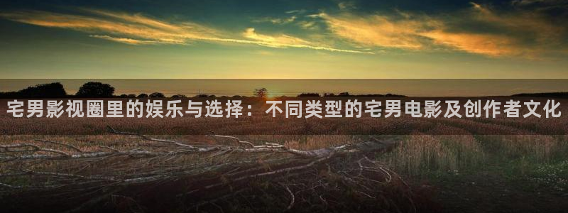 全能影视手机版官网