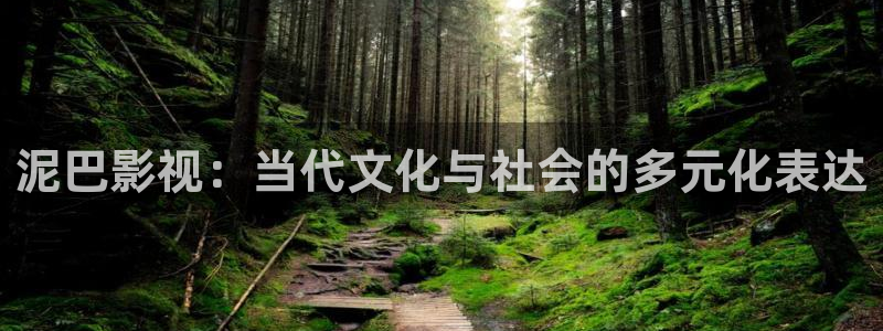 全能影视免费看电视剧