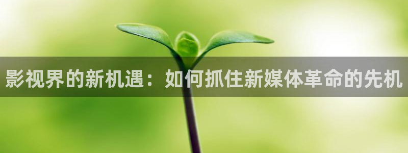 全能电影：影视界的新机遇：如何抓住新媒体革命的先机