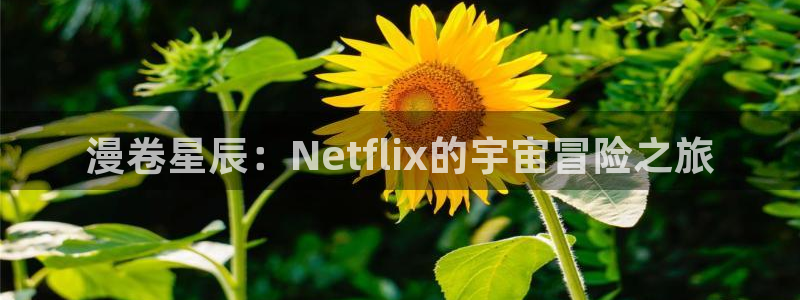 全能影院最新电影电视剧免费：漫卷星辰：Netflix的宇宙冒险之旅