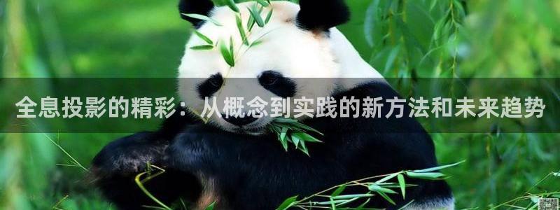 全能影视免费在线观看：全息投影的精彩：从概念到实践的新方法和未来趋势