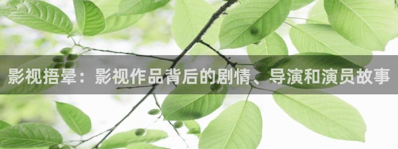 全能电影大全