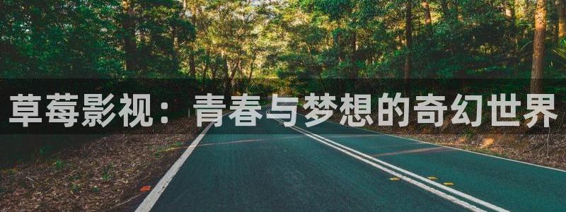 狂飙全能影视